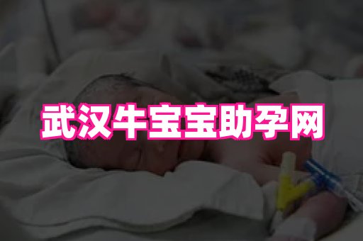 gfg孕网 1