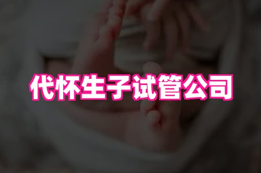 gfg孕网 3